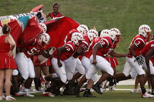 开云官网-意大利网球队险胜西班牙网球队，西西帕斯关键制胜